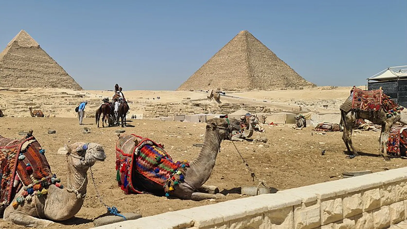 Giza Plateau, present-day photograph: Camels resting at the Pyramids of Giza